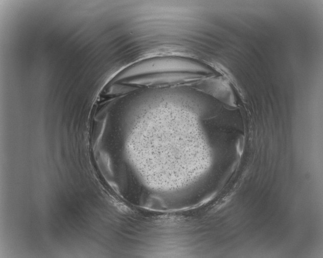 X0000062791081200601051039