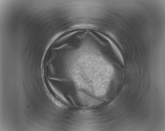 X0000062791082200601051039