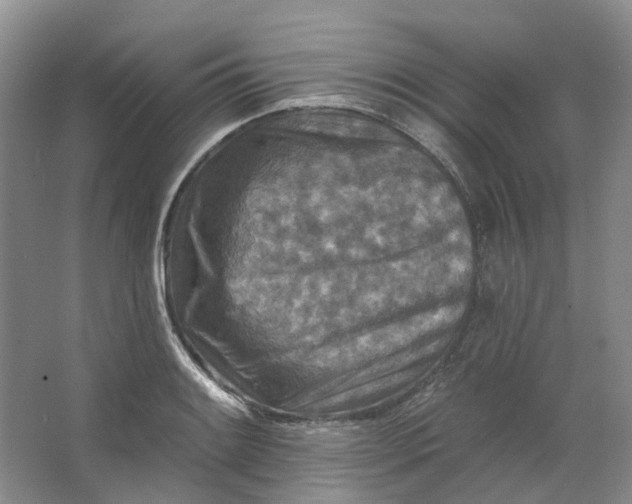 X0000062791084200601051039