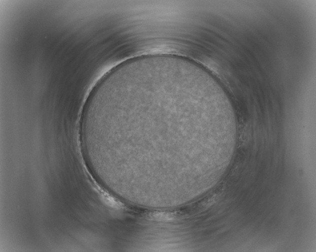 X0000062791086200601051039