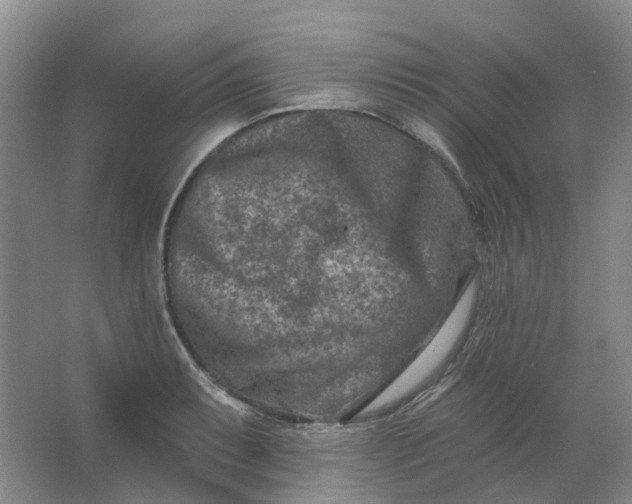 X0000062791087200601051039