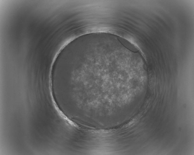 X0000062791088200601051039