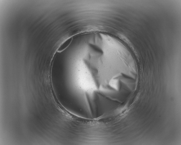 X0000062791089200601051039