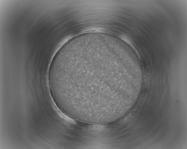 X0000062791090200601051039