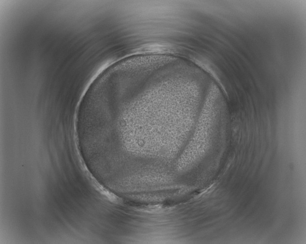 X0000062791091200601051039