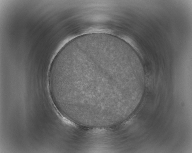 X0000062791094200601051039