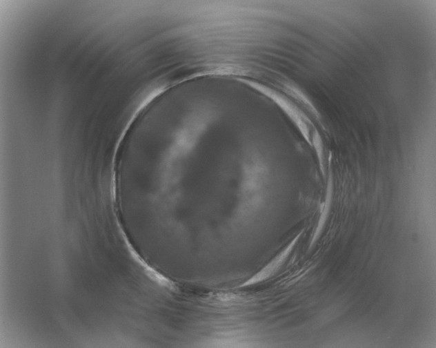 X0000062791095200601051039