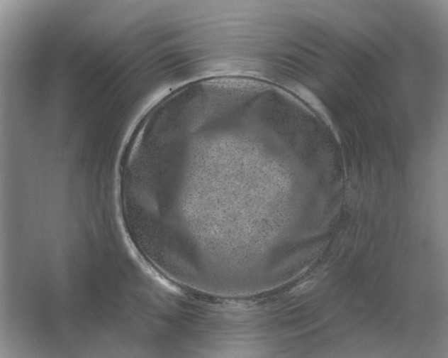 X0000062791096200601051039