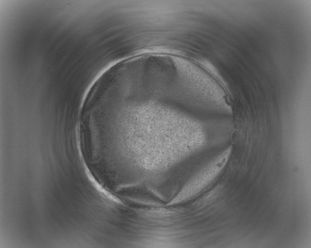 X0000062791100200601051039