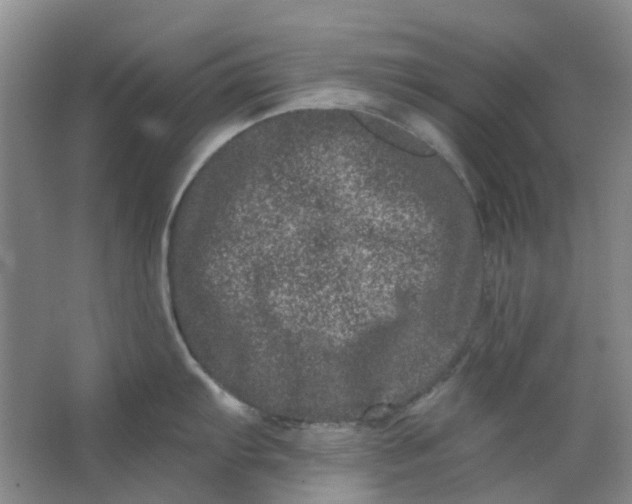 X0000062791103200601051039