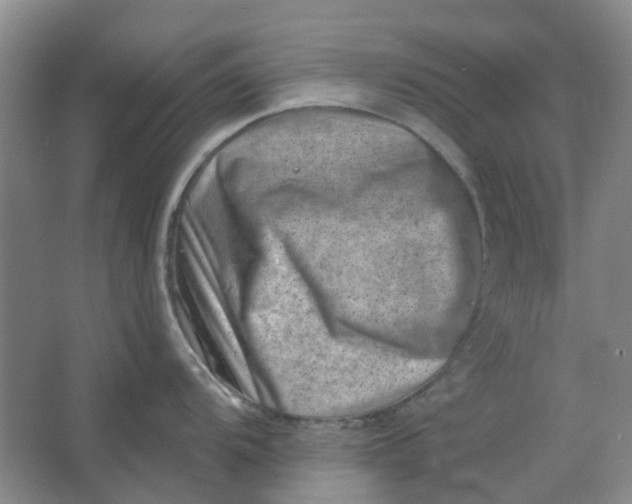 X0000062791104200601051039