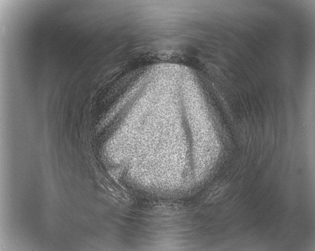 X0000062791105200601051038