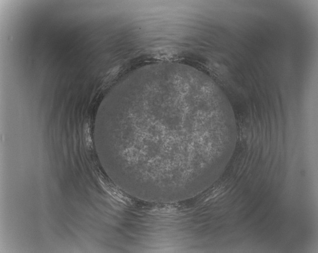 X0000062791106200601051038