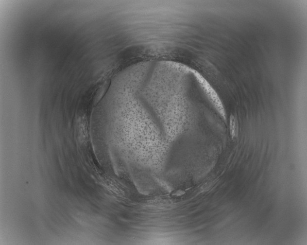 X0000062791107200601051038