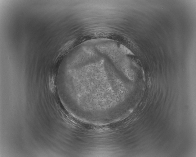 X0000062791108200601051038