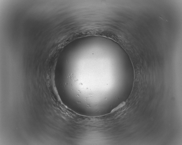 X0000062791109200601051038