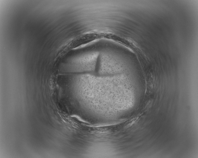 X0000062791110200601051038