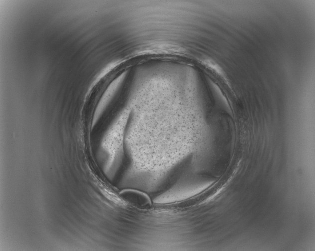 X0000062791114200601051038