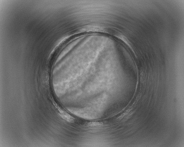 X0000062791115200601051038