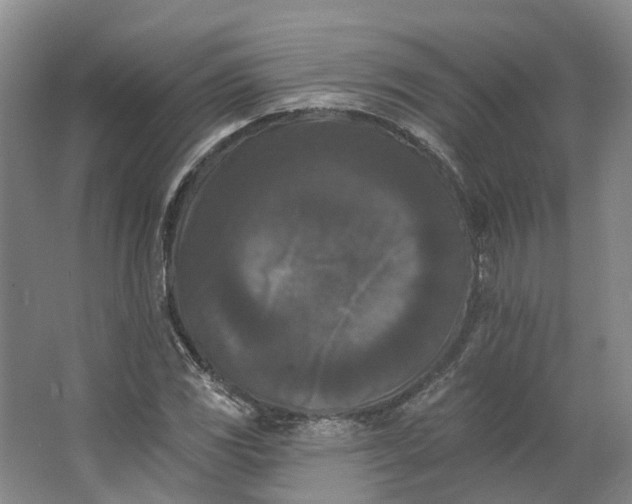 X0000062791117200601051038