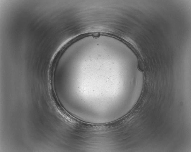 X0000062791120200601051038