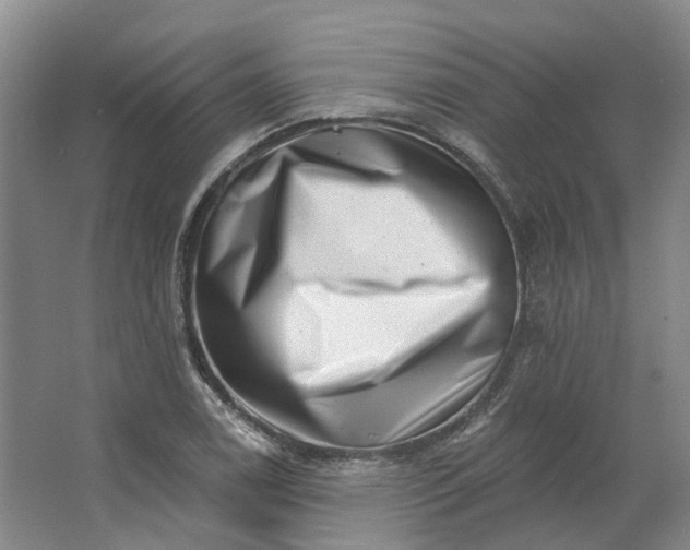 X0000062791122200601051038