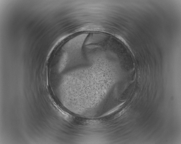 X0000062791123200601051038