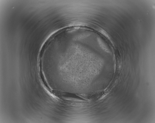 X0000062791124200601051038