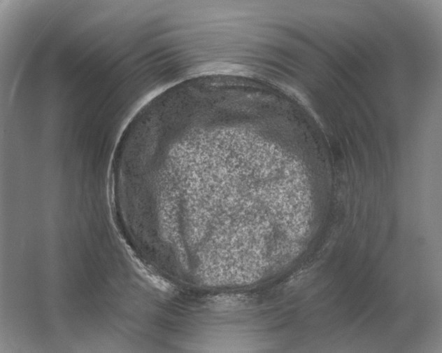 X0000062791125200601051038