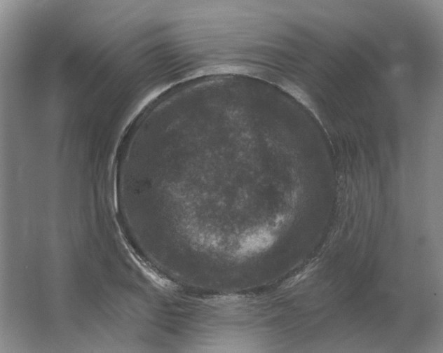 X0000062791127200601051039