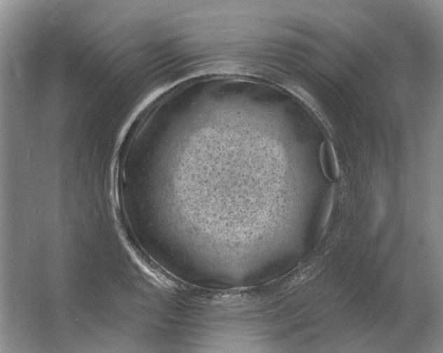 X0000062791128200601051039