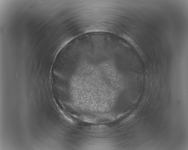 X0000062791129200601051039