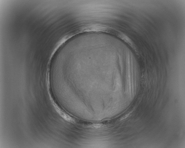 X0000062791130200601051039