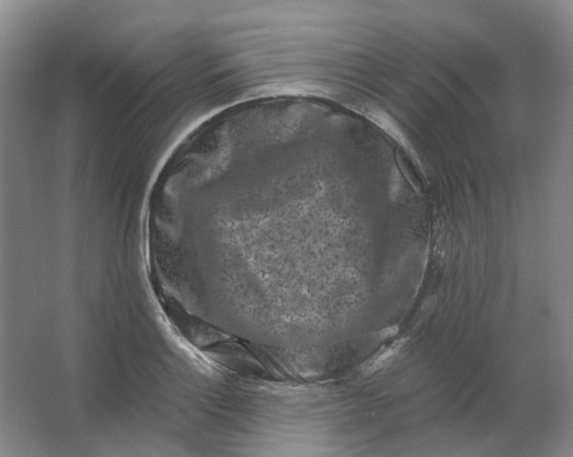 X0000062791132200601051039