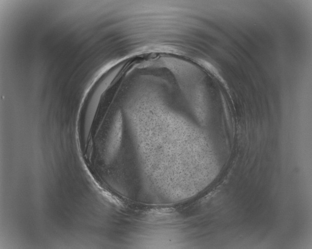 X0000062791133200601051039