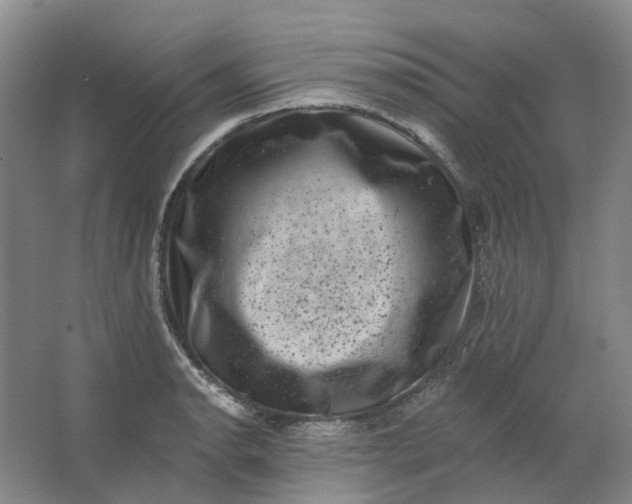 X0000062791134200601051039