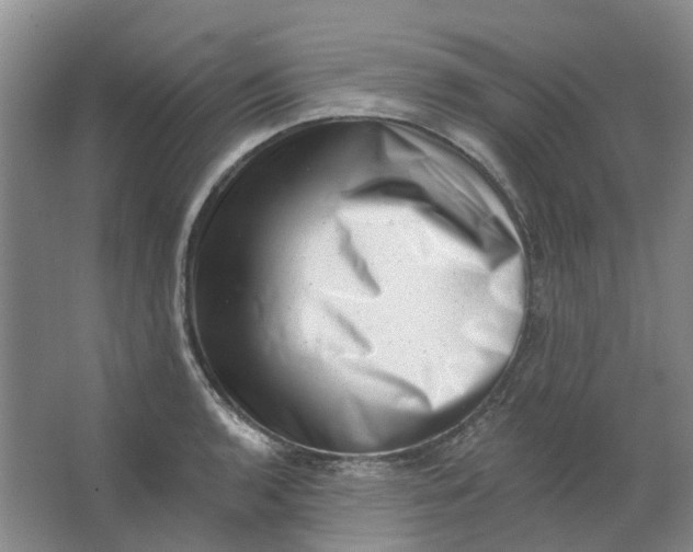 X0000062791136200601051039