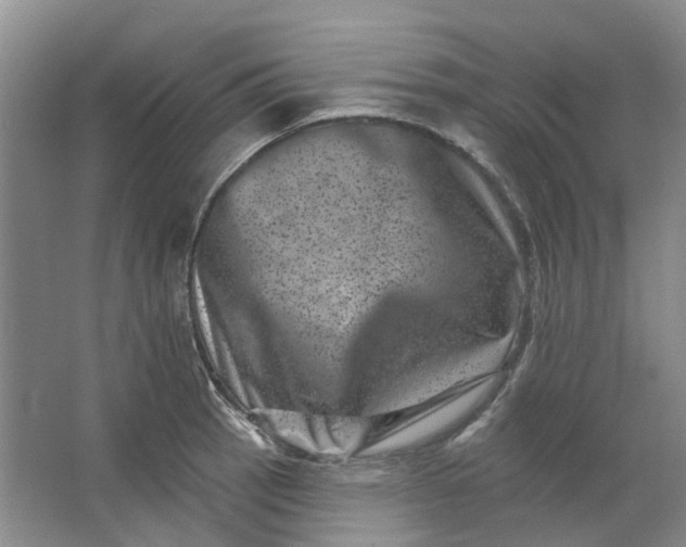 X0000062791137200601051039