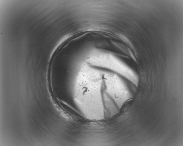 X0000062791138200601051039