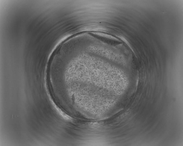 X0000062791139200601051039