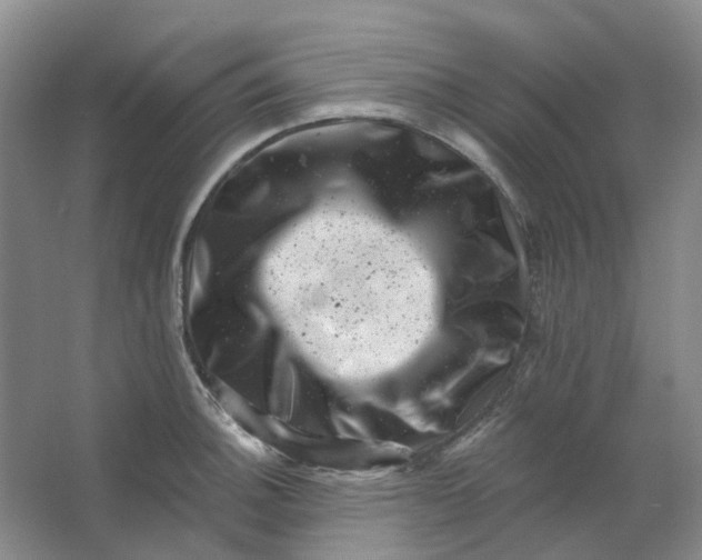 X0000062791140200601051039