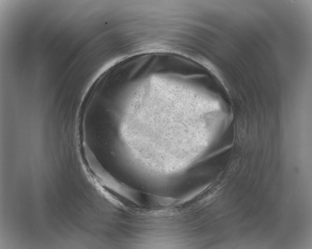 X0000062791142200601051039