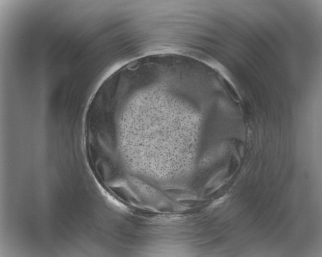 X0000062791143200601051039