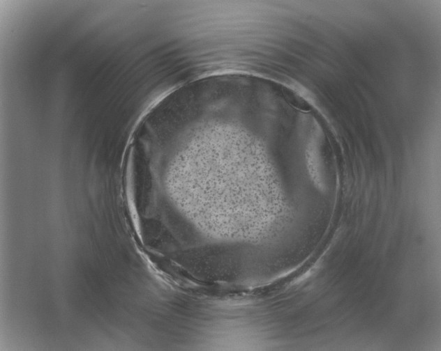 X0000062791145200601051039