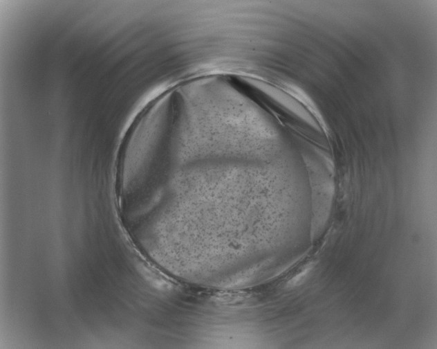 X0000062791146200601051039