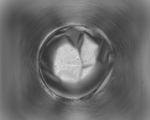 X0000062791148200601051039