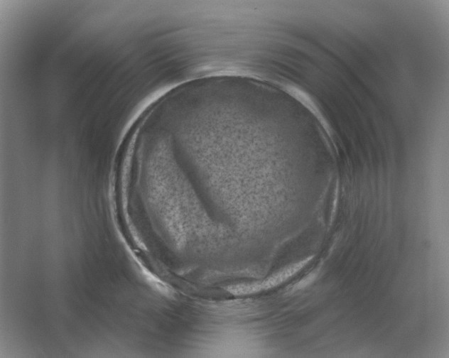 X0000062791149200601051039