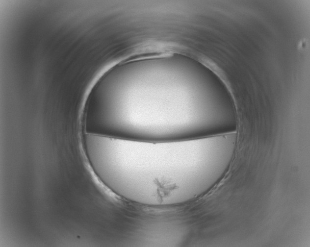 X0000062791152200601051039