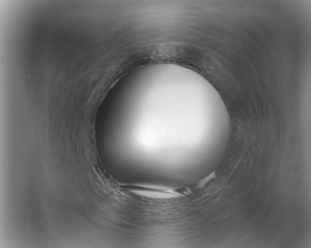 X0000062791153200601051038