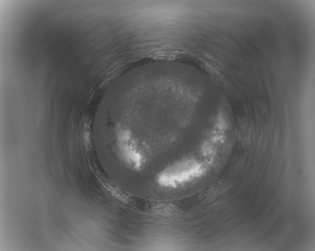 X0000062791154200601051038